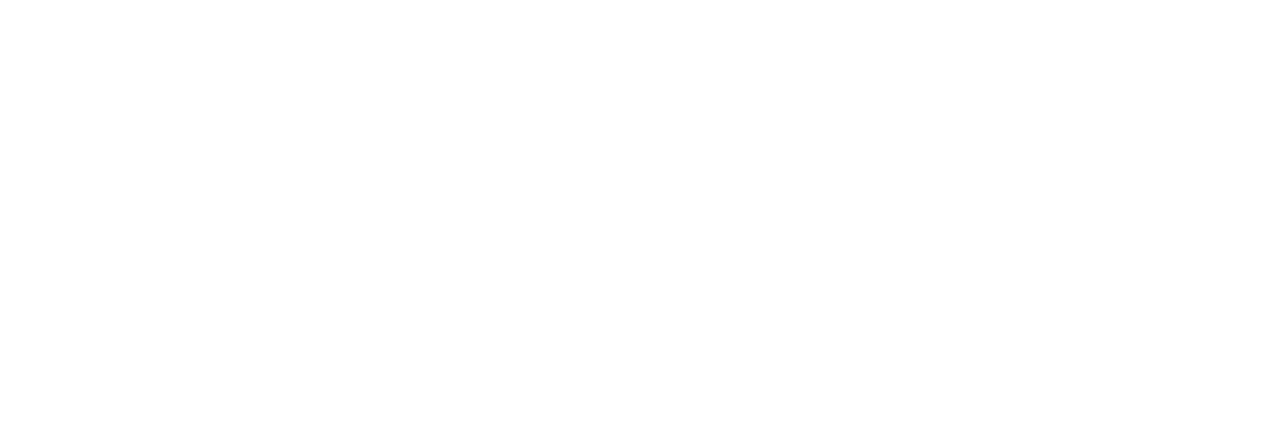 nyparley footer logo